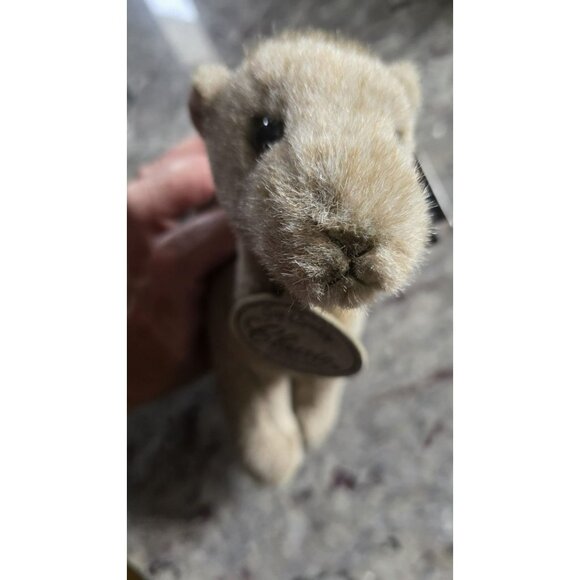 Classic Aurora Baby Camel Plush Hand Crafted 8in Stuffed Animal NWT Zoo Arabian - Picture 8 of 8